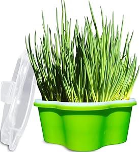 LeJoy Garden Seed Sprouter,Flower Shaped Germination Tray,BPA Free PP Soil-Free Healthy Wheatgrass Grower with Lid,Cretive Design Sprouting Kit