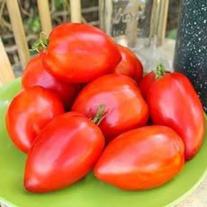 20 Amish Paste Tomato Seeds Sweet and Tasty Non-GMO Heirloom Organic Vegetable Seeds to Plant Home Outdoor Garden