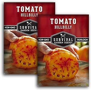 Survival Garden Seeds - Hillbilly Tomato Seed for Planting - 2 Packets with Instructions to Plant & Grow Uniquely Colored Potato Leaf Tomatoes in Your Home Vegetable Garden - Non-GMO Heirloom Variety