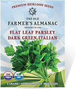 The Old Farmer's Almanac Heirloom Parsley Seeds (Dark Green Italian Flat Leaf) - Approx 1500 Seeds - Non-GMO, Open Pollinated, USA Origin