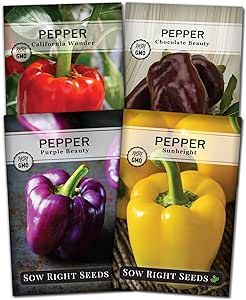 Sow Right Seeds - Sweet Bell Pepper Seed Collection for Planting a Home Garden - Red, Yellow, Purple, and Chocolate Brown Bell Peppers - Non-GMO Heirloom Variety Pack Vegetable Seeds to Plant