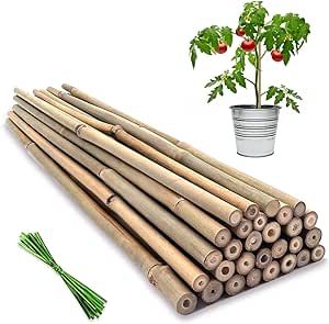 Plant Stakes,18 Inches Natural Garden Bamboo Sticks,BOVITRO 20Pcs Plant Support Stakes for Tomatoes,Beans,Vegetable and Potted Plants