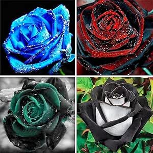 100 pcs Rare Black/Red/Blue/Green Rose Seeds for Planting Rare Flowers Garden Plants (Dark Green) Striking Landscape Plant for Garden Outdoor Attract Bees