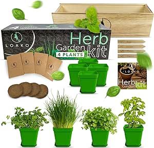 Indoor Herb Garden Starter Kit - DIY Kits for Adults - 4 Herb Seeds Growing Kit - Crafts for Adults - Home Seed Starter Grow Plant Kit - Craft Kits for Adults - Basil, Parsley, Cilantro, Chives