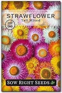 Sow Right Seeds - Tall Mixed Strawflower Seeds - Non-GMO Heirloom Packet with instructions to Grow - Beautiful to Plant in Your Flower Garden - Cut Flower Favorite - Wonderful Gardening Gift (1)