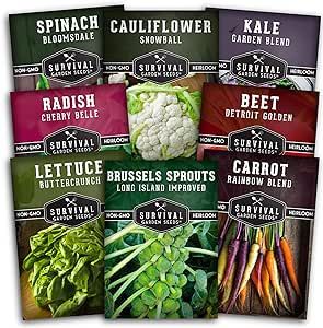 Fall Vegetable Seed Collection - 8 Packs of Non-GMO Heirloom Open-Pollinated Vegetables - Plant in Late Summer for Autumn Harvest - Seed Saver Instructions on Packets - Survival Garden Seeds