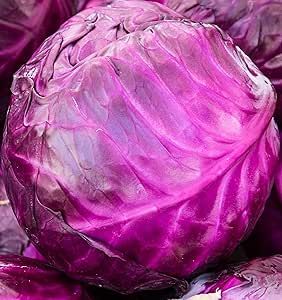 Cabbage Seeds for Planting - Plant & Grow Red Acre Cabbage in Your Home Outdoor Vegetable Garden - Heirloom Non GMO Planting Packets with Full Instructions - Great Gardening Gift - 1 Packet