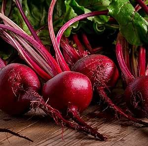Beet Seeds for Planting - Non-GMO Heirloom Seed Packets with Instructions to Plant & Grow an Outdoor Vegetable Garden - Great Gardening Gift - 50 Ruby Queen Beet Seeds Per Packet (1 Packet)