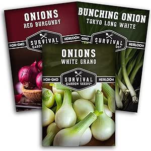 Short Day Onion Seed Collection for Planting - 3 Packs to Plant & Grow Red Burgundy, White Grano, Toyko Long White Bunching Onions - Non-GMO Heirloom Varieties- Survival Garden Seeds