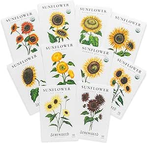 Sereniseed Sunflower Seeds Collection (10-Pack) – 100% Non GMO, Open Pollinated – Grow Guide