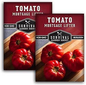 Survival Garden Seeds - Mortgage Lifter Tomato Seed for Planting - 2 Packs with Instructions to Plant & Grow Huge Delicious Tomatoes in Your Home Vegetable Garden - Non-GMO Heirloom Variety
