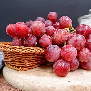 10 Giant Red Globe Grape Seeds Easy to Grow Tasty and Sweet Fruit Non-GMO Heirloom Organic Fruit Seeds to Plant Home Outdoor Garden