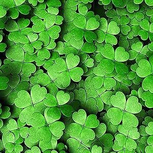 Four Leaf Clover Plant Seeds 25 Seeds Symbol of Luck Ground Cover-Perennial GMO Free Ornamental Decor Patio Container Potted Indoor Outdoor New Lawn Easily Grow Great for Garden
