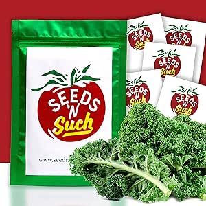 Seeds N Such 2380 Hand Selected Garden Salad Mix Seeds | Includes 5 Individually Packaged Seed Packs - Cherry Tomato, Kale, Black Seeded Simpson, Red Salad Bowl & Spinach | Untreated & Non-GMO