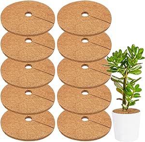 Legigo 10pcs 14" Dia Coconut Fibers Tree Mulch Ring Protector Mat- Natural Coco Coir Tree Protection Weed Mats for Cypress, Landscaping, Tree Disc Plant Cover, Soil Cover for Indoor Outdoor Plants