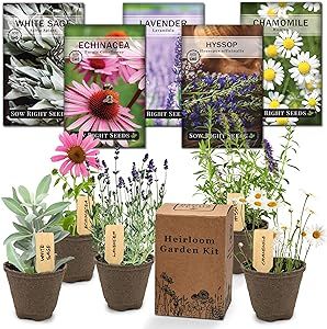 Sow Right Seeds - Heirloom Medicinal Garden Seeds Growing Kit - 5 Medicinal Varieties - Pots & Potting Soil - Grow Herbal Teas with Non-GMO Packets of Lavender, Chamomile, & Echinacea - Wonderful Gift
