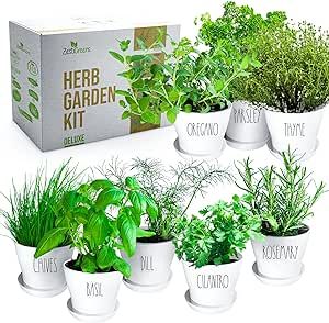 Deluxe Herb Garden Kit – 8 Variety Herbs for Indoor & Outdoor – Get Growing w/Pots, Potting Soil, and Detailed Gardening Guide for Window Herb Garden - DIY Gardening Kit Gift for Women & Men