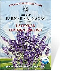 The Old Farmer's Almanac Heirloom Lavender Seeds (Common English) - Approx 360 Seeds - Non-GMO, Open Pollinated