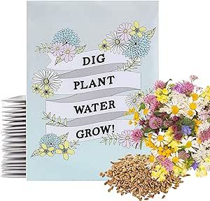 American Meadows Wildflower Seed Packets "Dig Plant Water Grow'' Favors (Pack of 20) - Pollinator Wildflower Seed Mix to Attract Hummingbirds, Bees, and Butterflies, Party Favors for Any Occasion