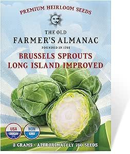 The Old Farmer's Almanac Heirloom Brussels Sprouts Seeds (Long Island Improved) - Approx 700 Seeds - Non-GMO, Open Pollinated, USA Origin