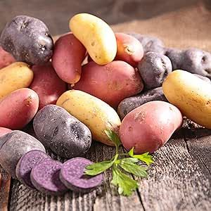 Mix Seed Potatoes for Planting Outdoors, 2 Pound, Easy to Plant, Perennial