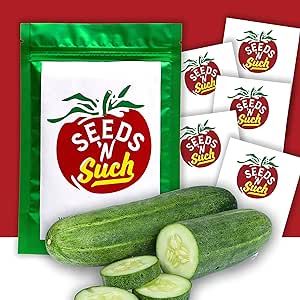 Seeds N Such 215 Hand Selected Cucumber Garden Seeds | Includes 5 Individually Packaged Seeds - Beit Alpha, Marketmore 76, Armenian, Saladmore Bush & Parisian Hybrid | Untreated & Non-GMO
