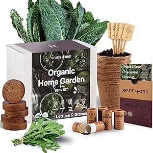 Organic Indoor Lettuce & Greens Garden Starter Kit - Certified USDA Organic Non GMO - Includes Spinach, Kale, Red Romaine, Loose Leaf Lettuce Seeds for Planting, Potting Soil, Peat Pots