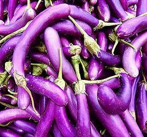 Eggplant Seeds for Planting - Plant & Grow Long Purple Eggplant - Full Planting Instructions to Plant a Home Outdoor Vegetable Garden - Great Gardening Gift, 1 Packet